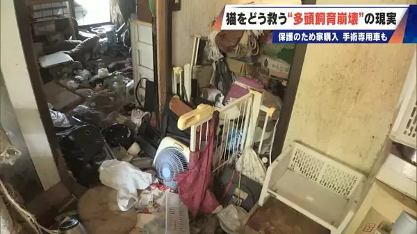 ｢最悪の現場。今から亡くなっている子を探す｣ 猫の多頭飼育崩壊… 30匹以上が暮らすごみ屋敷 電気が止まり家主は半年間マンガ喫茶で寝泊まり