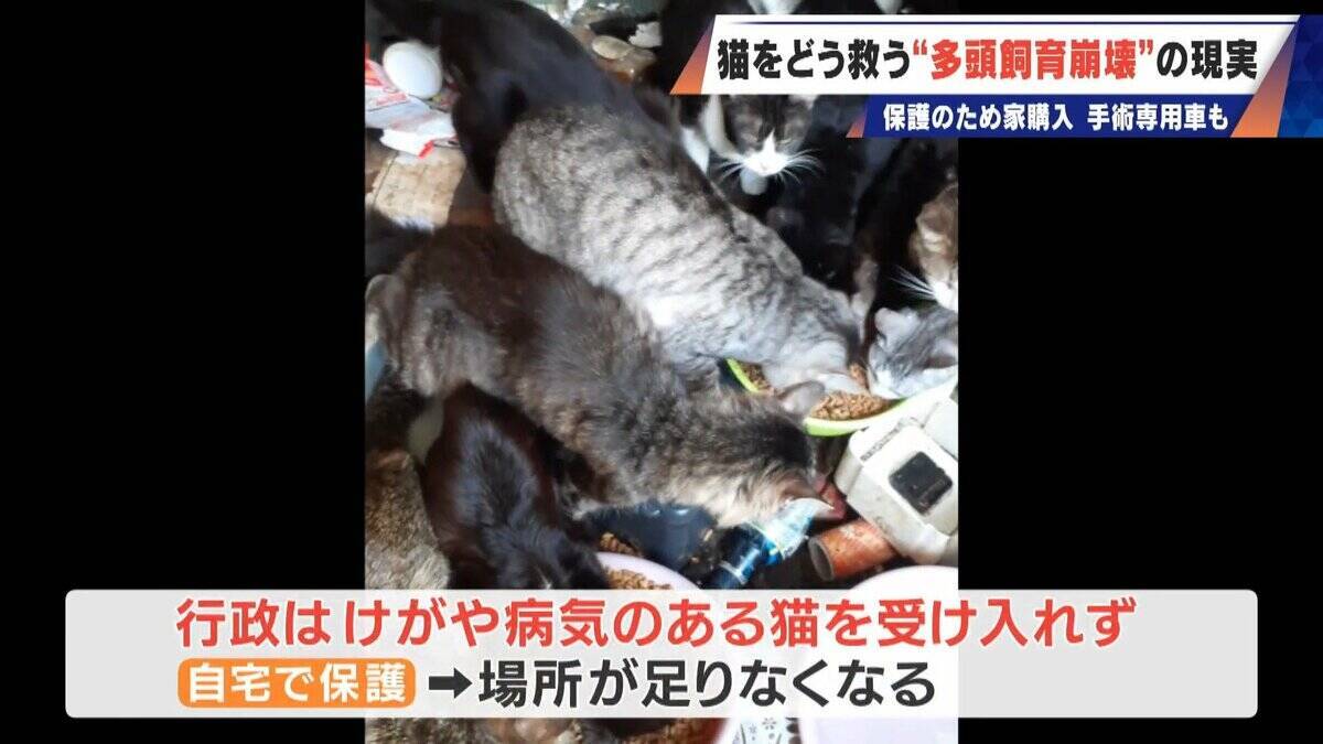 ｢最悪の現場。今から亡くなっている子を探す｣ 猫の多頭飼育崩壊… 30匹以上が暮らすごみ屋敷 電気が止まり家主は半年間マンガ喫茶で寝泊まり