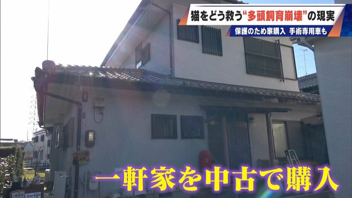 ｢最悪の現場。今から亡くなっている子を探す｣ 猫の多頭飼育崩壊… 30匹以上が暮らすごみ屋敷 電気が止まり家主は半年間マンガ喫茶で寝泊まり