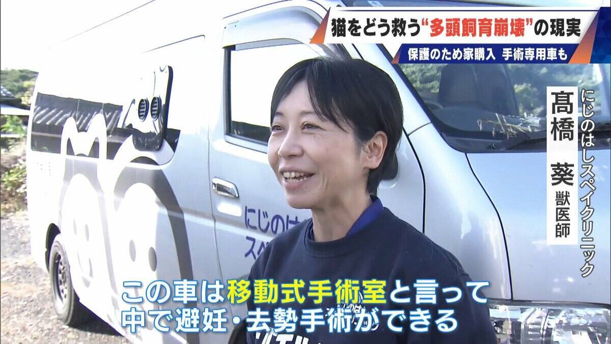 ｢最悪の現場。今から亡くなっている子を探す｣ 猫の多頭飼育崩壊… 30匹以上が暮らすごみ屋敷 電気が止まり家主は半年間マンガ喫茶で寝泊まり