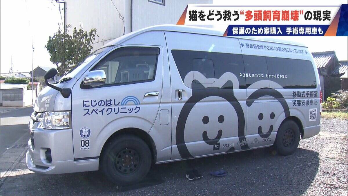 ｢最悪の現場。今から亡くなっている子を探す｣ 猫の多頭飼育崩壊… 30匹以上が暮らすごみ屋敷 電気が止まり家主は半年間マンガ喫茶で寝泊まり