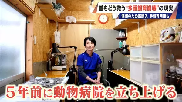 「｢最悪の現場。今から亡くなっている子を探す｣ 猫の多頭飼育崩壊… 30匹以上が暮らすごみ屋敷 電気が止まり家主は半年間マンガ喫茶で寝泊まり」の画像