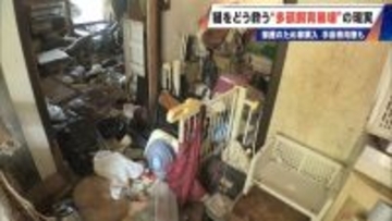 ｢最悪の現場。今から亡くなっている子を探す｣ 猫の多頭飼育崩壊… 30匹以上が暮らすごみ屋敷 電気が止まり家主は半年間マンガ喫茶で寝泊まり