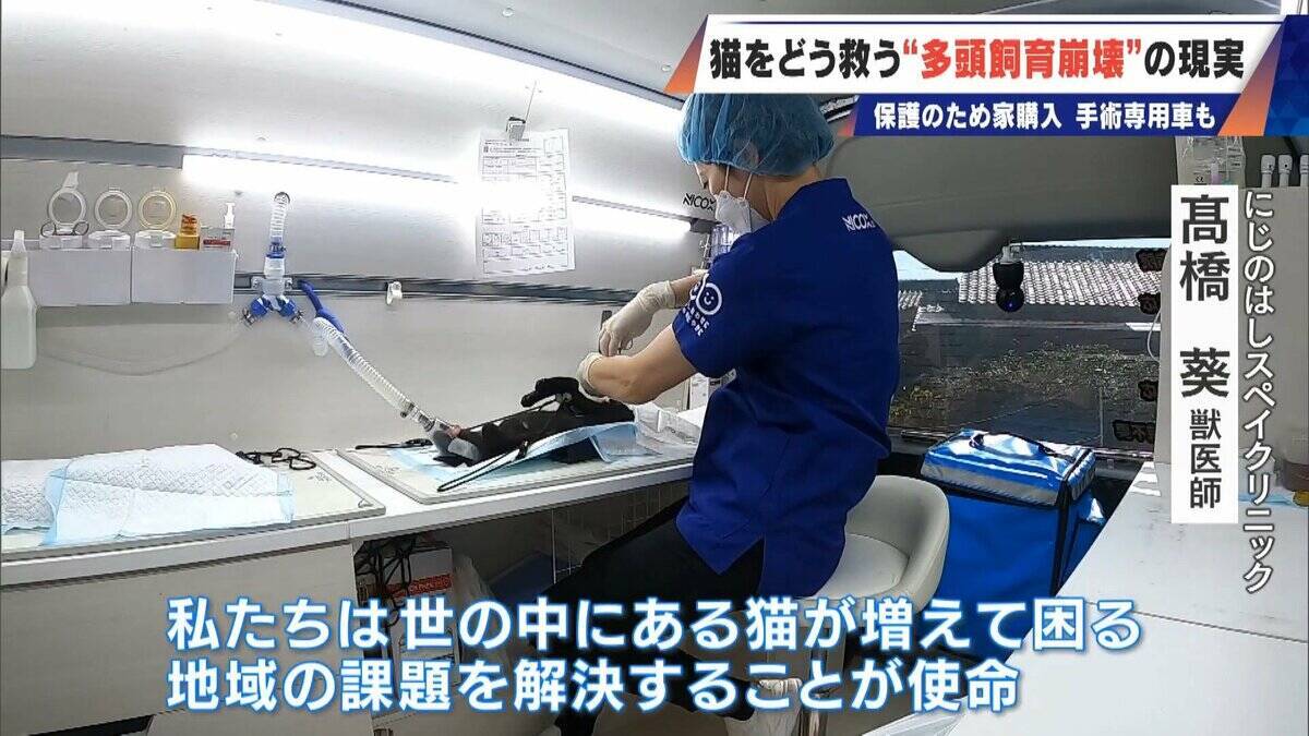 ｢最悪の現場。今から亡くなっている子を探す｣ 猫の多頭飼育崩壊… 30匹以上が暮らすごみ屋敷 電気が止まり家主は半年間マンガ喫茶で寝泊まり