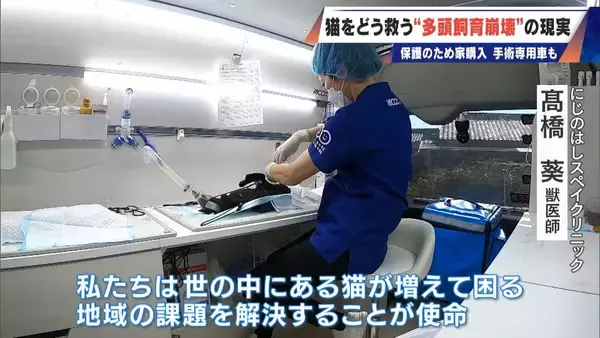「｢最悪の現場。今から亡くなっている子を探す｣ 猫の多頭飼育崩壊… 30匹以上が暮らすごみ屋敷 電気が止まり家主は半年間マンガ喫茶で寝泊まり」の画像