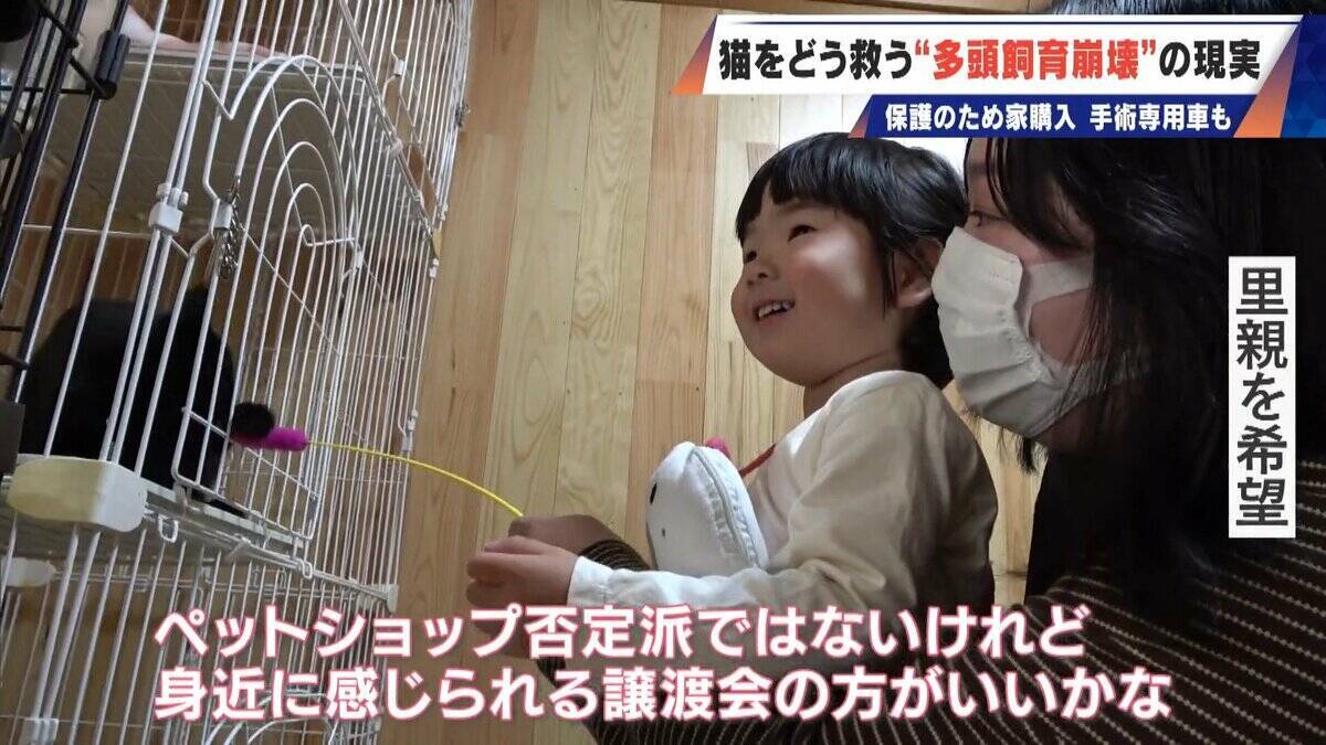 ｢最悪の現場。今から亡くなっている子を探す｣ 猫の多頭飼育崩壊… 30匹以上が暮らすごみ屋敷 電気が止まり家主は半年間マンガ喫茶で寝泊まり