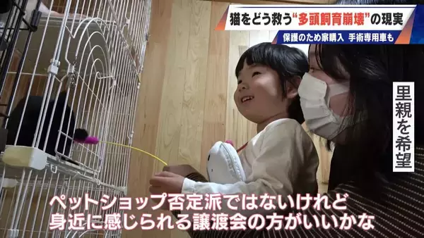 「｢最悪の現場。今から亡くなっている子を探す｣ 猫の多頭飼育崩壊… 30匹以上が暮らすごみ屋敷 電気が止まり家主は半年間マンガ喫茶で寝泊まり」の画像