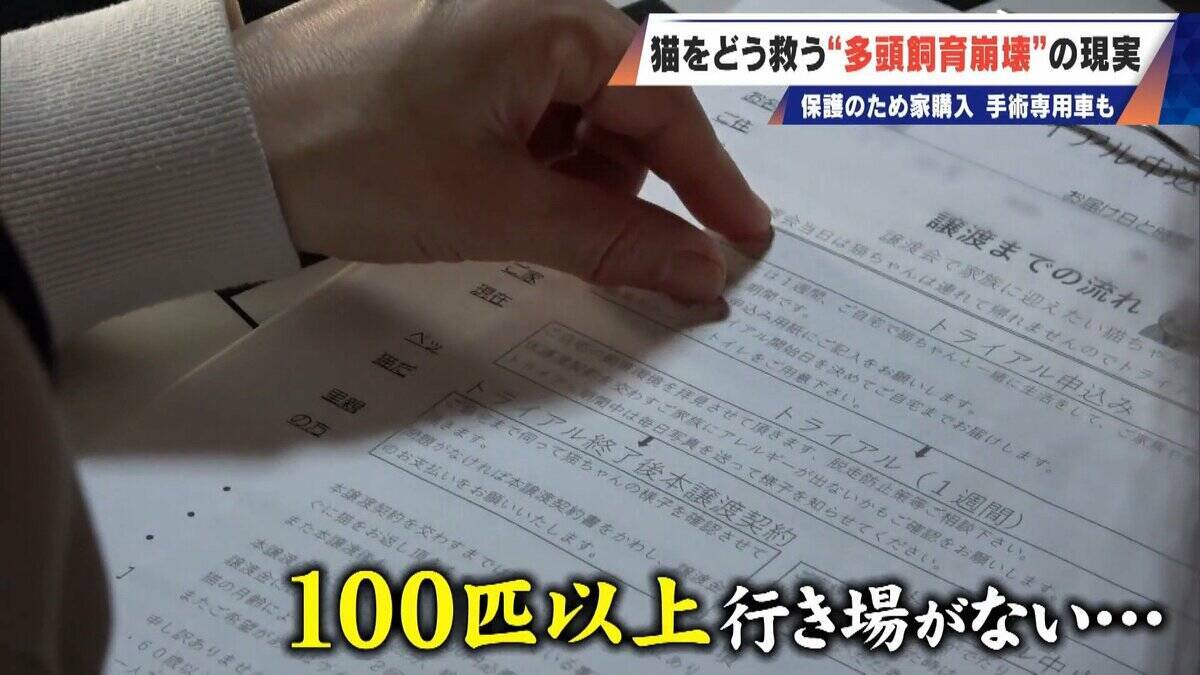 ｢最悪の現場。今から亡くなっている子を探す｣ 猫の多頭飼育崩壊… 30匹以上が暮らすごみ屋敷 電気が止まり家主は半年間マンガ喫茶で寝泊まり