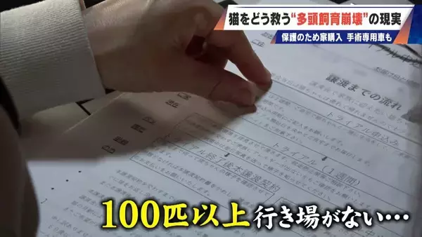 「｢最悪の現場。今から亡くなっている子を探す｣ 猫の多頭飼育崩壊… 30匹以上が暮らすごみ屋敷 電気が止まり家主は半年間マンガ喫茶で寝泊まり」の画像