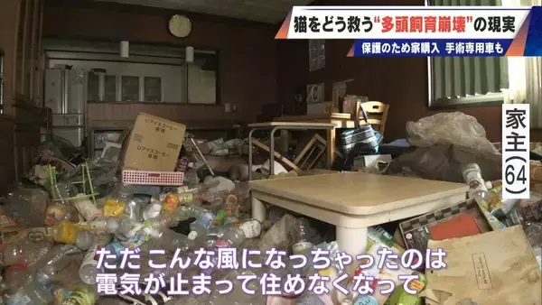 「｢最悪の現場。今から亡くなっている子を探す｣ 猫の多頭飼育崩壊… 30匹以上が暮らすごみ屋敷 電気が止まり家主は半年間マンガ喫茶で寝泊まり」の画像