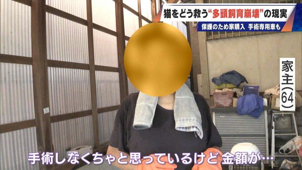 ｢最悪の現場。今から亡くなっている子を探す｣ 猫の多頭飼育崩壊… 30匹以上が暮らすごみ屋敷 電気が止まり家主は半年間マンガ喫茶で寝泊まり
