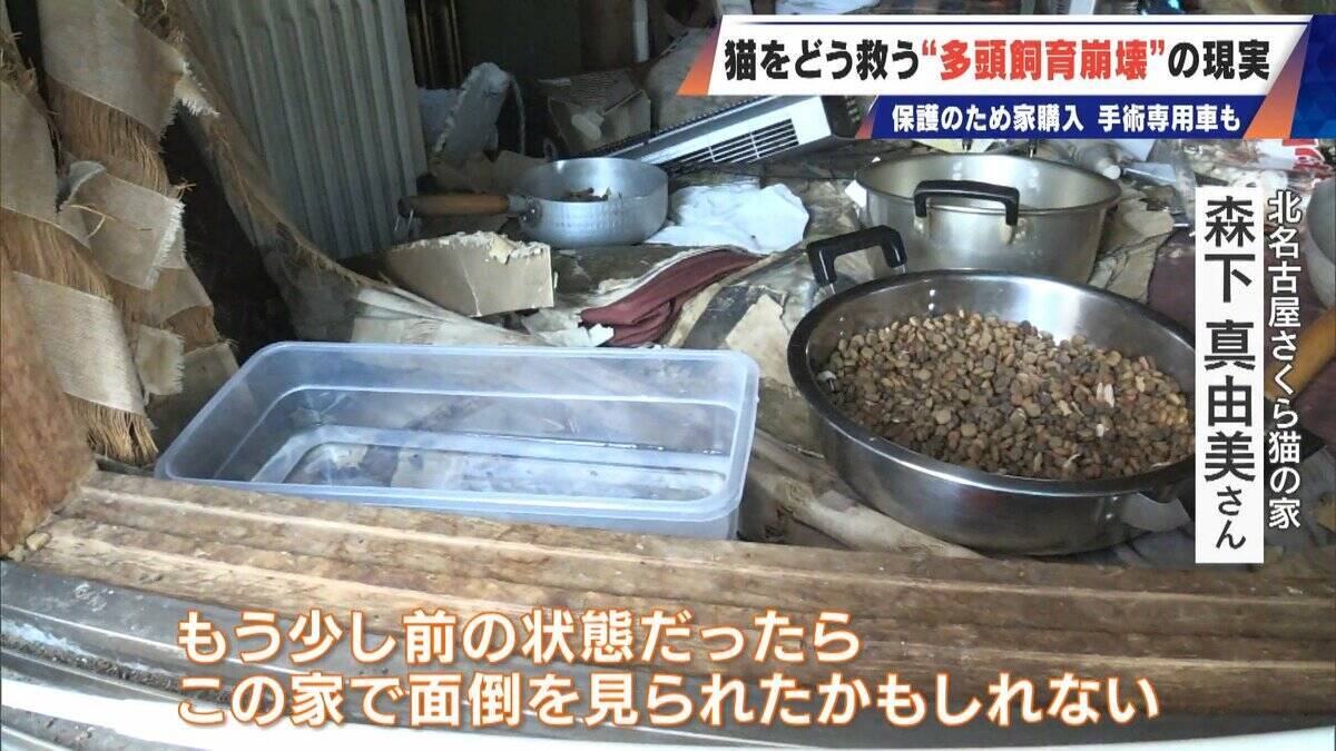 ｢最悪の現場。今から亡くなっている子を探す｣ 猫の多頭飼育崩壊… 30匹以上が暮らすごみ屋敷 電気が止まり家主は半年間マンガ喫茶で寝泊まり