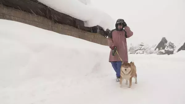 「東海各地で大雪　白川村では積雪1メートル27センチ観測　大雪のピークは越えたとみられる」の画像