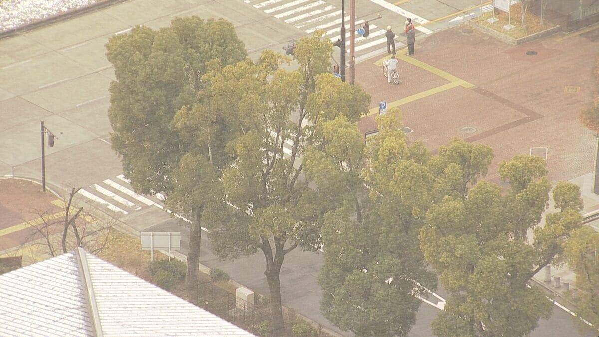 東海各地で大雪　白川村では積雪1メートル27センチ観測　大雪のピークは越えたとみられる