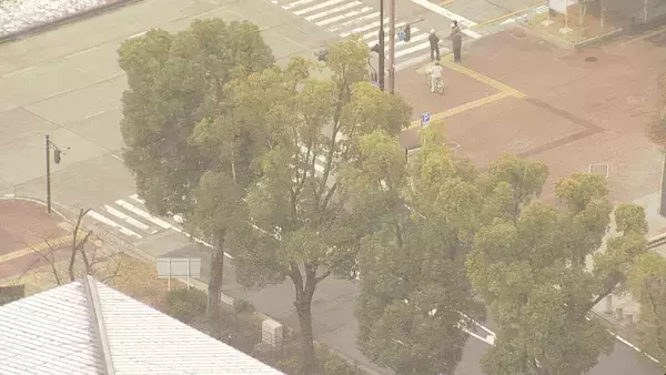 「東海各地で大雪　白川村では積雪1メートル27センチ観測　大雪のピークは越えたとみられる」の画像