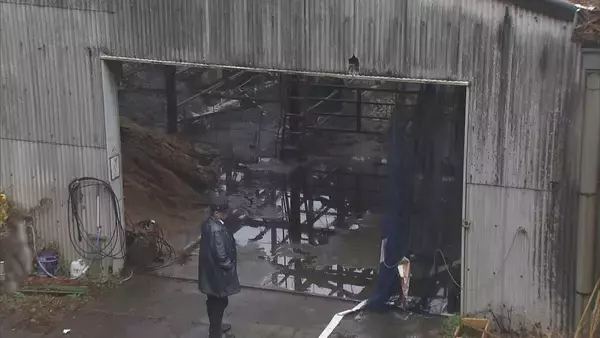 ｢火が出ている｣ と119番通報 牛舎で火事…3棟のうち1棟が焼ける 牛は１週間前から“不在”で無事 三重･大紀町