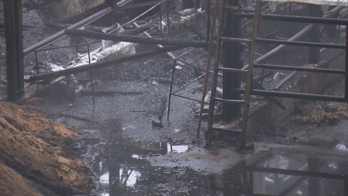 ｢火が出ている｣ と119番通報 牛舎で火事…3棟のうち1棟が焼ける 牛は１週間前から“不在”で無事 三重･大紀町