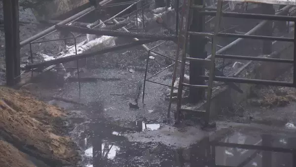 「｢火が出ている｣ と119番通報 牛舎で火事…3棟のうち1棟が焼ける 牛は１週間前から“不在”で無事 三重･大紀町」の画像