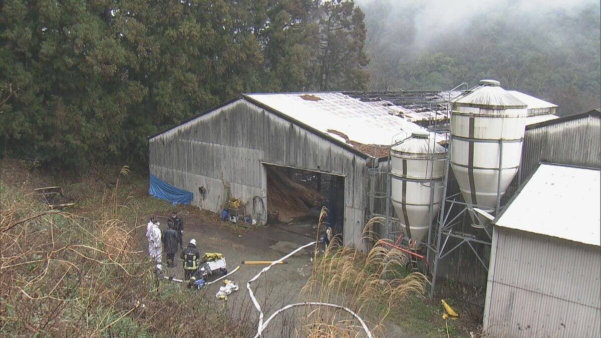 ｢火が出ている｣ と119番通報 牛舎で火事…3棟のうち1棟が焼ける 牛は１週間前から“不在”で無事 三重･大紀町