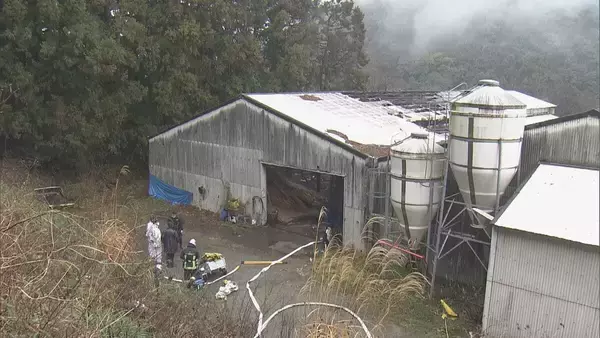 「｢火が出ている｣ と119番通報 牛舎で火事…3棟のうち1棟が焼ける 牛は１週間前から“不在”で無事 三重･大紀町」の画像