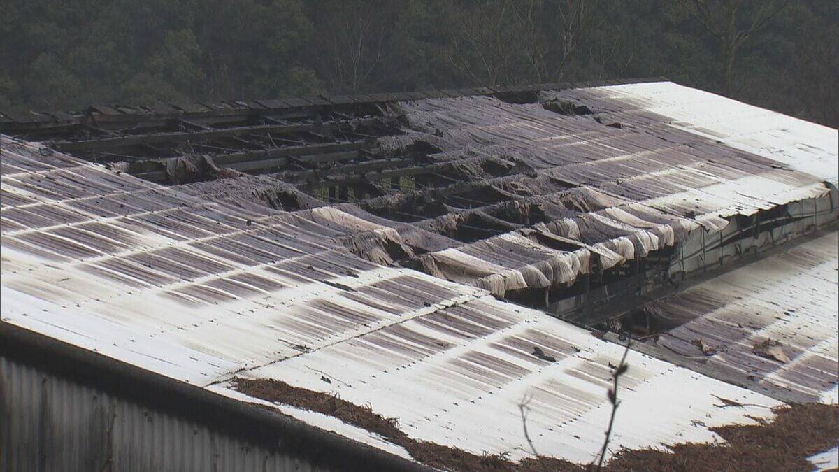 ｢火が出ている｣ と119番通報 牛舎で火事…3棟のうち1棟が焼ける 牛は１週間前から“不在”で無事 三重･大紀町
