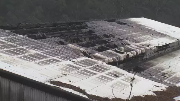 「｢火が出ている｣ と119番通報 牛舎で火事…3棟のうち1棟が焼ける 牛は１週間前から“不在”で無事 三重･大紀町」の画像