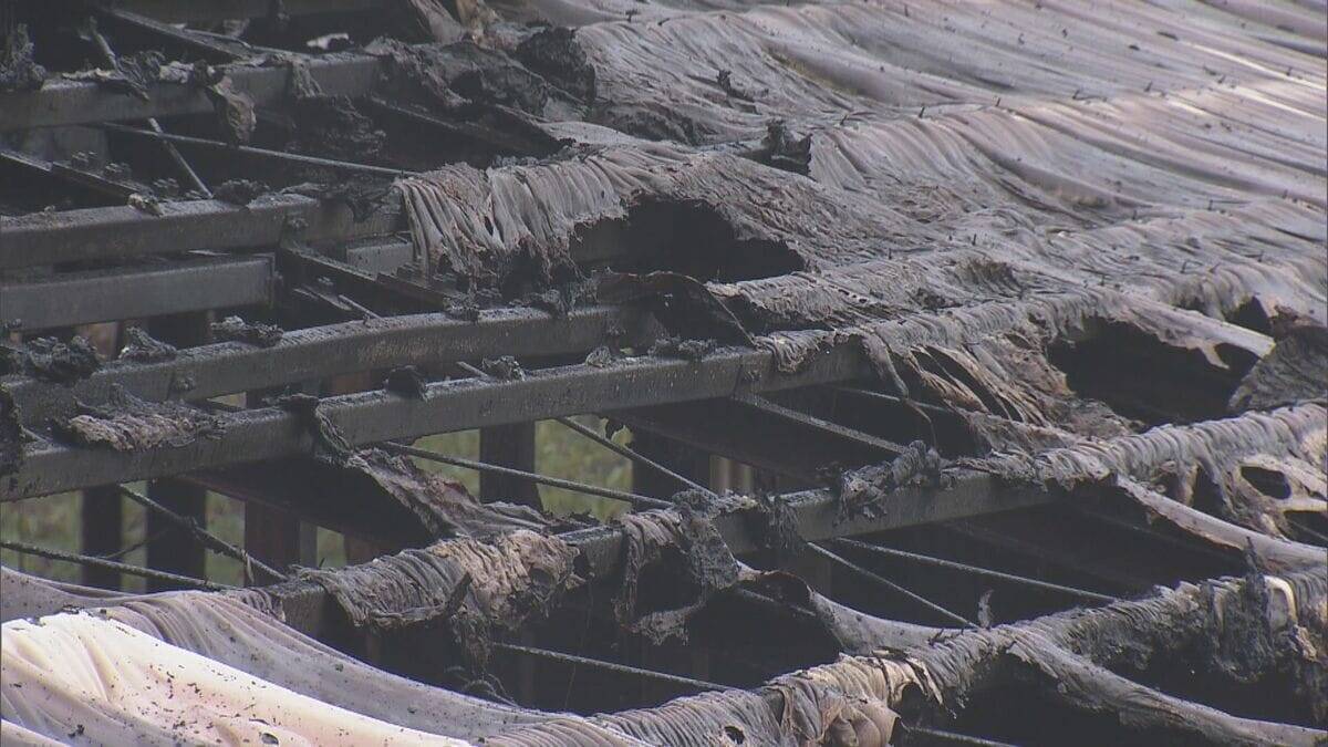 ｢火が出ている｣ と119番通報 牛舎で火事…3棟のうち1棟が焼ける 牛は１週間前から“不在”で無事 三重･大紀町