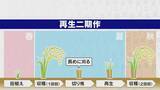 「“令和のコメ騒動” 終わらない価格高騰… 国は介入すべき？ 価格安定はいつ？鈴木農水大臣｢需要見通しが間違っていたことが原因｣」の画像18