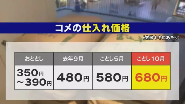 「“令和のコメ騒動” 終わらない価格高騰… 国は介入すべき？ 価格安定はいつ？鈴木農水大臣｢需要見通しが間違っていたことが原因｣」の画像