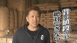 「“令和のコメ騒動” 終わらない価格高騰… 国は介入すべき？ 価格安定はいつ？鈴木農水大臣｢需要見通しが間違っていたことが原因｣」の画像8