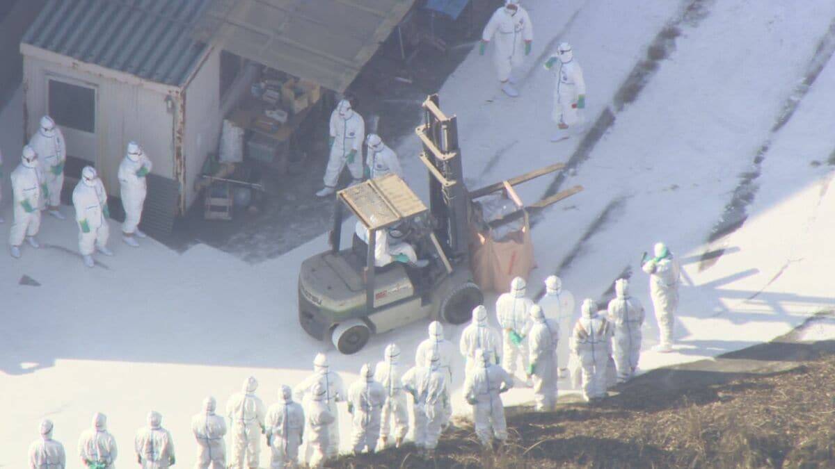 高病原性鳥インフルエンザ感染 養鶏場でニワトリ約2万5000羽の殺処分始まる 県内では2011年以来の感染 三重･津市