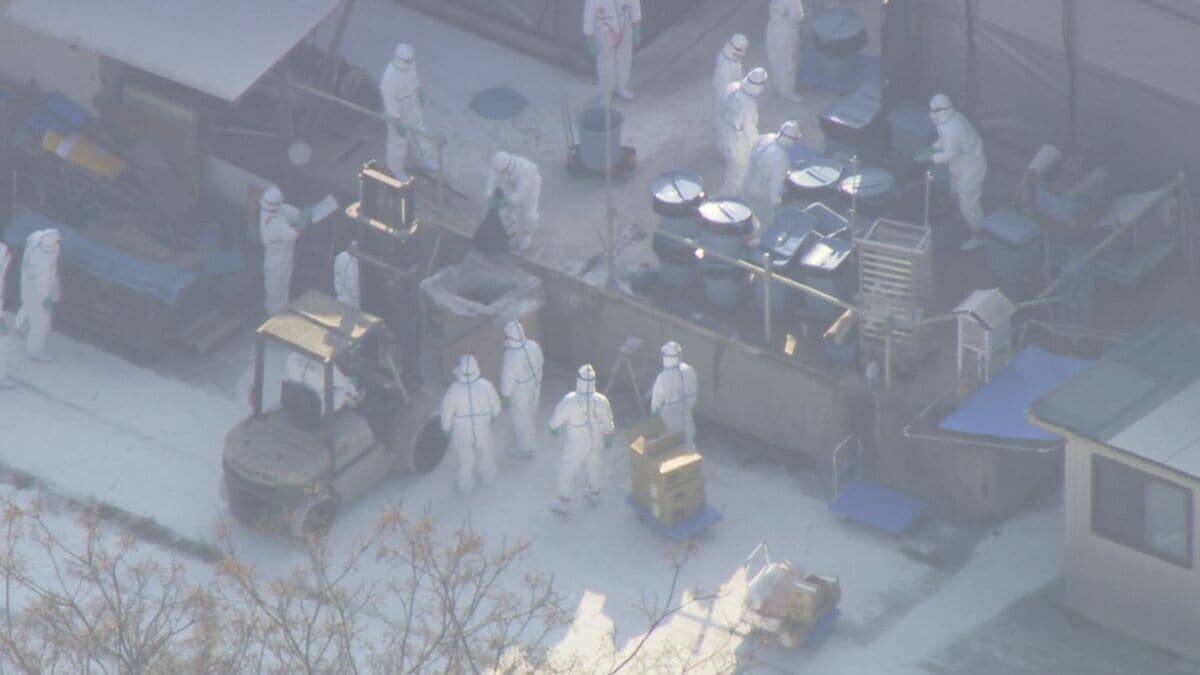 高病原性鳥インフルエンザ感染 養鶏場でニワトリ約2万5000羽の殺処分始まる 県内では2011年以来の感染 三重･津市