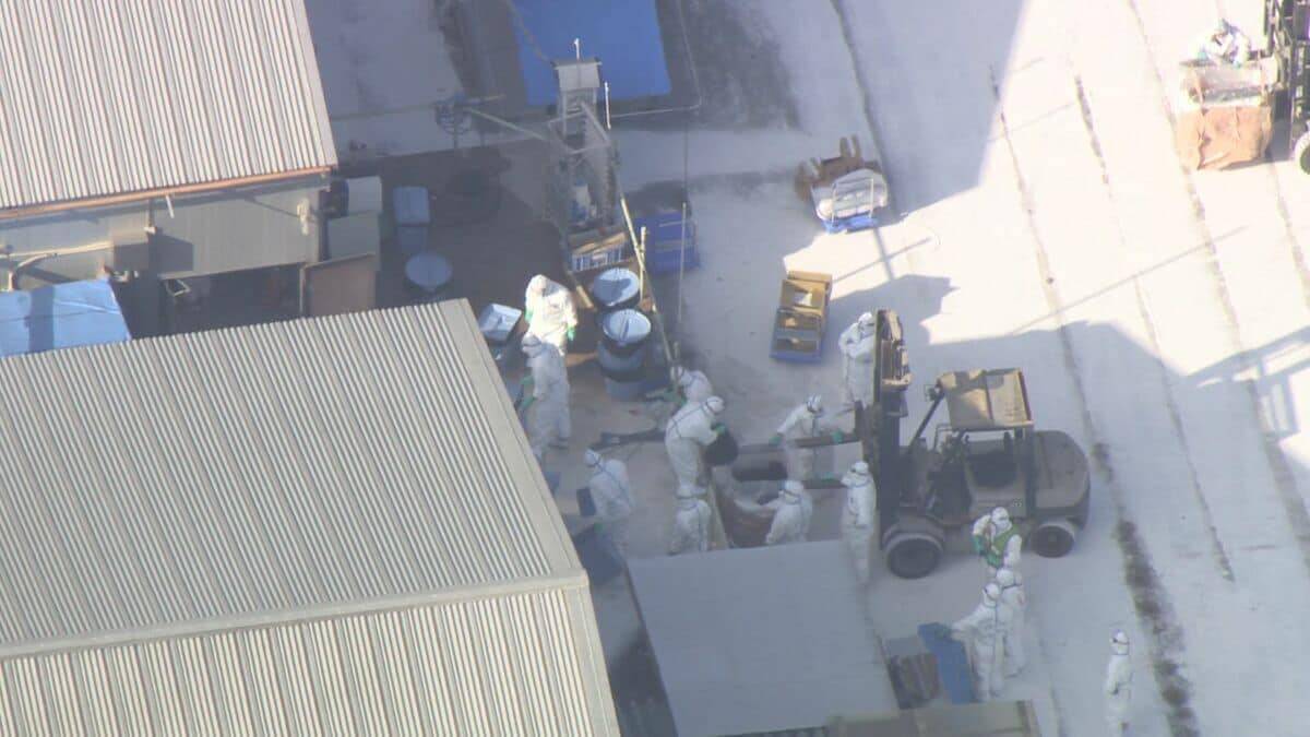 高病原性鳥インフルエンザ感染 養鶏場でニワトリ約2万5000羽の殺処分始まる 県内では2011年以来の感染 三重･津市
