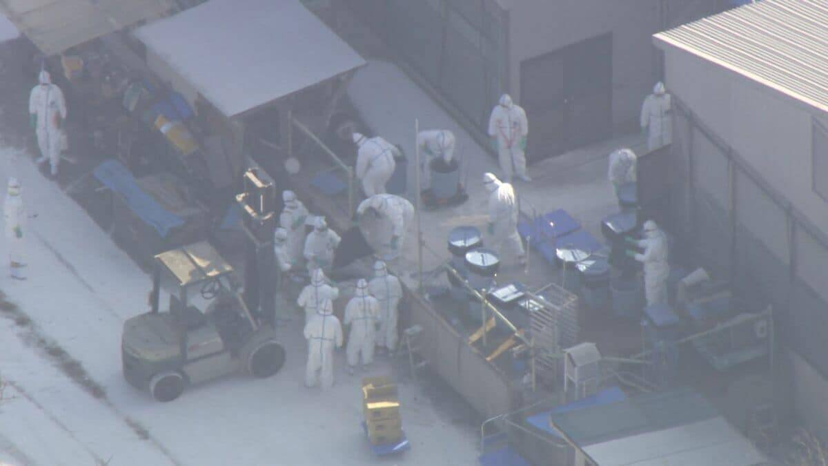 高病原性鳥インフルエンザ感染 養鶏場でニワトリ約2万5000羽の殺処分始まる 県内では2011年以来の感染 三重･津市