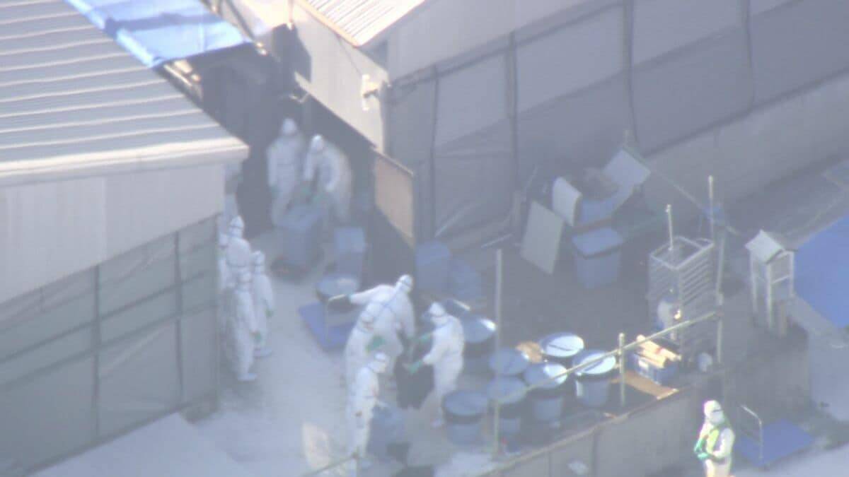 高病原性鳥インフルエンザ感染 養鶏場でニワトリ約2万5000羽の殺処分始まる 県内では2011年以来の感染 三重･津市
