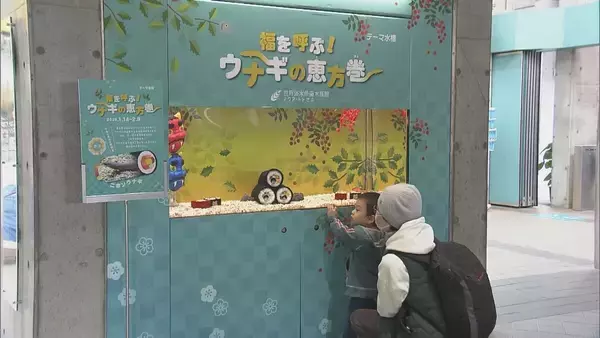 「“恵方巻”の中でウナギが動いた！丸かぶりは出来ません…岐阜・各務原市の水族館「アクア・トト ぎふ」で人気の展示」の画像