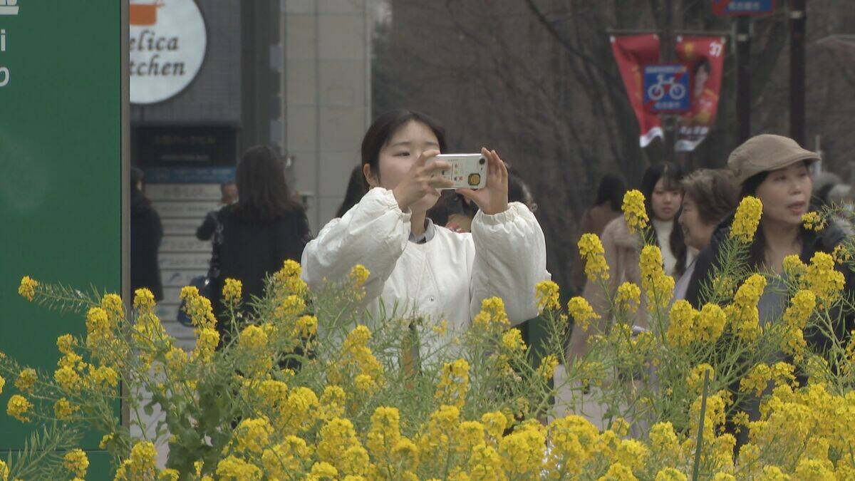 名古屋は最高気温19.9℃のポカポカ陽気だったが…愛知の水不足はますます深刻に 豊川用水の水源 宇連ダム貯水率は2パーセントを切る