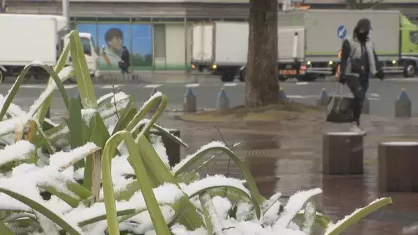 「【大雪情報】名古屋で今季初の積雪  東海地方は平野部でも大雪に 岐阜市で最大11センチ 高山市で20センチ 白川村で61センチの積雪 岐阜で47件のスリップ事故」の画像