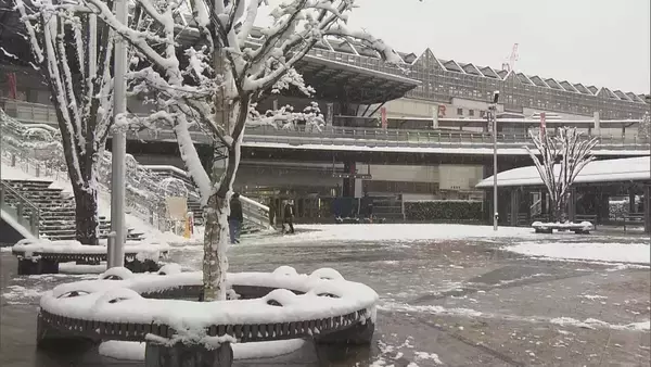 「【大雪情報】名古屋で今季初の積雪  東海地方は平野部でも大雪に 岐阜市で最大11センチ 高山市で20センチ 白川村で61センチの積雪 岐阜で47件のスリップ事故」の画像