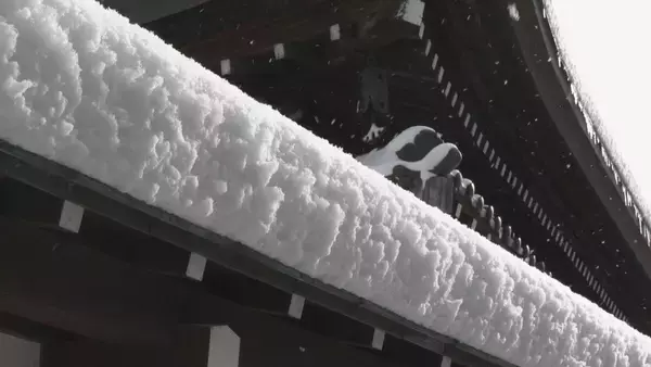 「【大雪情報】名古屋で今季初の積雪  東海地方は平野部でも大雪に 岐阜市で最大11センチ 高山市で20センチ 白川村で61センチの積雪 岐阜で47件のスリップ事故」の画像