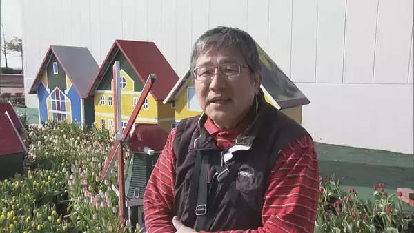 「“春が来た”と勘違いしたチューリップ 球根冷やして植えると…来園者も｢暖かくていいですね｣ 岐阜･木曽三川公園センター」の画像
