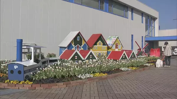 「“春が来た”と勘違いしたチューリップ 球根冷やして植えると…来園者も｢暖かくていいですね｣ 岐阜･木曽三川公園センター」の画像