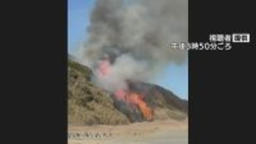 愛知・豊橋の海岸沿いの山林で火事 消火活動難航で約７ヘクタールが燃えるけが人なし