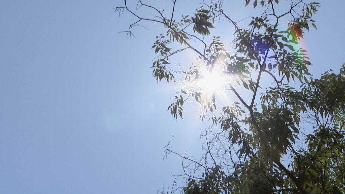 路上で嘔吐とめまいで動けなくなった小4女児 通りかかった警察官の通報で救急搬送 熱中症か