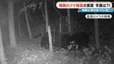 「クマに恐われた男性｢これもうだめだと…｣ 過去最悪の被害の一方で猟友会は｢数が減ってきている｣ 駆除されたクマの“ある特徴”とは」の画像1