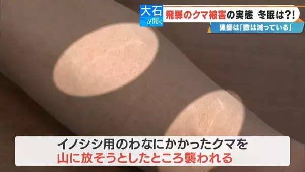 「クマに恐われた男性｢これもうだめだと…｣ 過去最悪の被害の一方で猟友会は｢数が減ってきている｣ 駆除されたクマの“ある特徴”とは」の画像