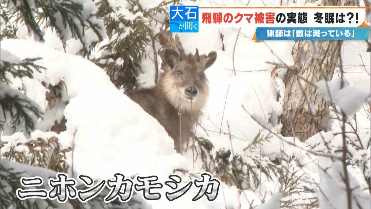 クマに恐われた男性｢これもうだめだと…｣ 過去最悪の被害の一方で猟友会は｢数が減ってきている｣ 駆除されたクマの“ある特徴”とは