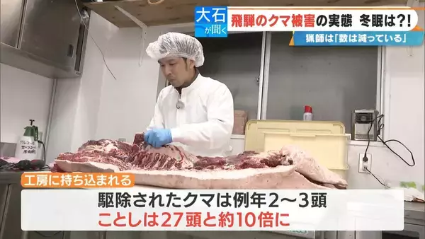 「クマに恐われた男性｢これもうだめだと…｣ 過去最悪の被害の一方で猟友会は｢数が減ってきている｣ 駆除されたクマの“ある特徴”とは」の画像