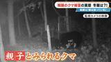 「クマに恐われた男性｢これもうだめだと…｣ 過去最悪の被害の一方で猟友会は｢数が減ってきている｣ 駆除されたクマの“ある特徴”とは」の画像4