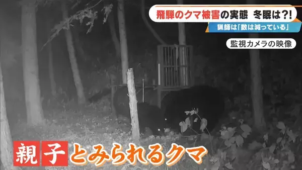 「クマに恐われた男性｢これもうだめだと…｣ 過去最悪の被害の一方で猟友会は｢数が減ってきている｣ 駆除されたクマの“ある特徴”とは」の画像